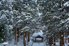 雪の大神山神社奥宮