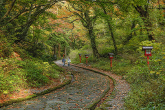 秋の大神山神社奥宮へと続く石畳の参道