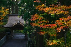 大神山神社奥宮　紅葉