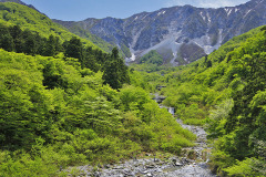 金門からの新緑大山