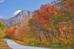 大山観光道路の紅葉