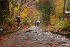 大神山神社奥宮　石畳の参道の紅葉