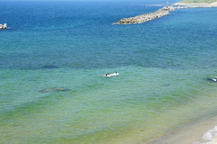 木料海岸の海