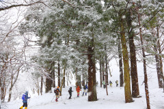 大山スノーシューツアー