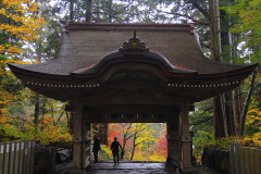 大神山神社奥宮の紅葉