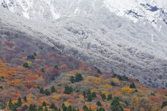 豪円山のろし台からの紅葉と初冠雪