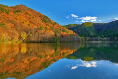 大野池の紅葉