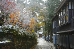 大山寺参道の紅葉