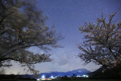 仁王堂公園の桜と星空