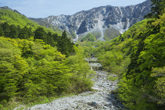 金門から観る新緑大山