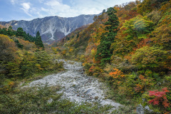 金門から観る大山の紅葉