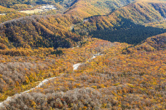 大山山頂から観るブナ林の紅葉と鍵掛峠・三の沢・奥大山スキー場