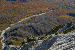 大山山頂から観る一の沢