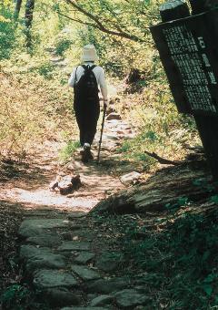 川床道