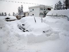 一晩で雪に埋もれた車