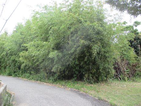 空き地情報H29-1