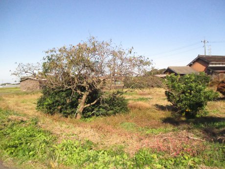 空き地情報R6-6(潮音寺）.JPG