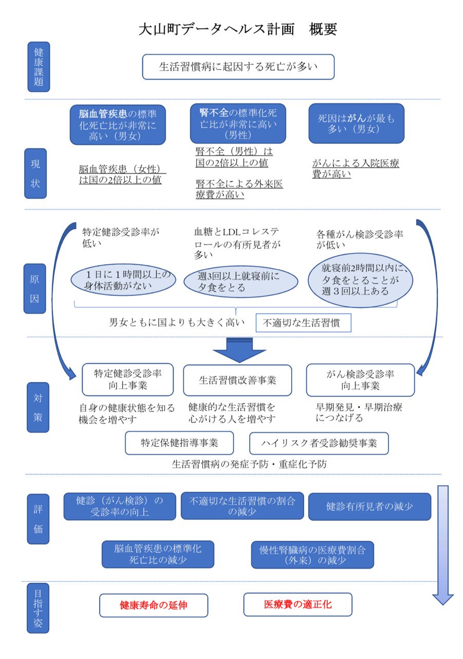 データヘルス概要版.jpg