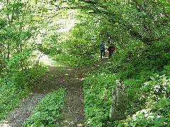 大山道（横手道）