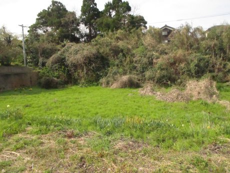 空き地情報R5-17