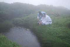 大山のもひとり神事