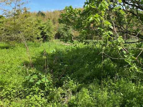 空き地情報R4-1~6