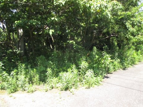 空き地情報H30-1.2