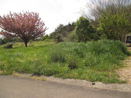 空き地情報H28-1